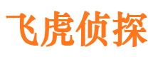 武城侦探公司